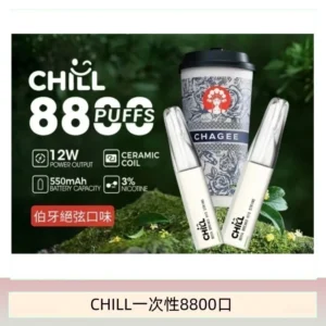 10種口味|鴨嘴獸CHILL 8800口一次性電子菸 8ml大容量煙油
