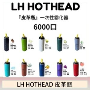 LH HOTHEAD皮革瓶電子煙可充電6000口一次性